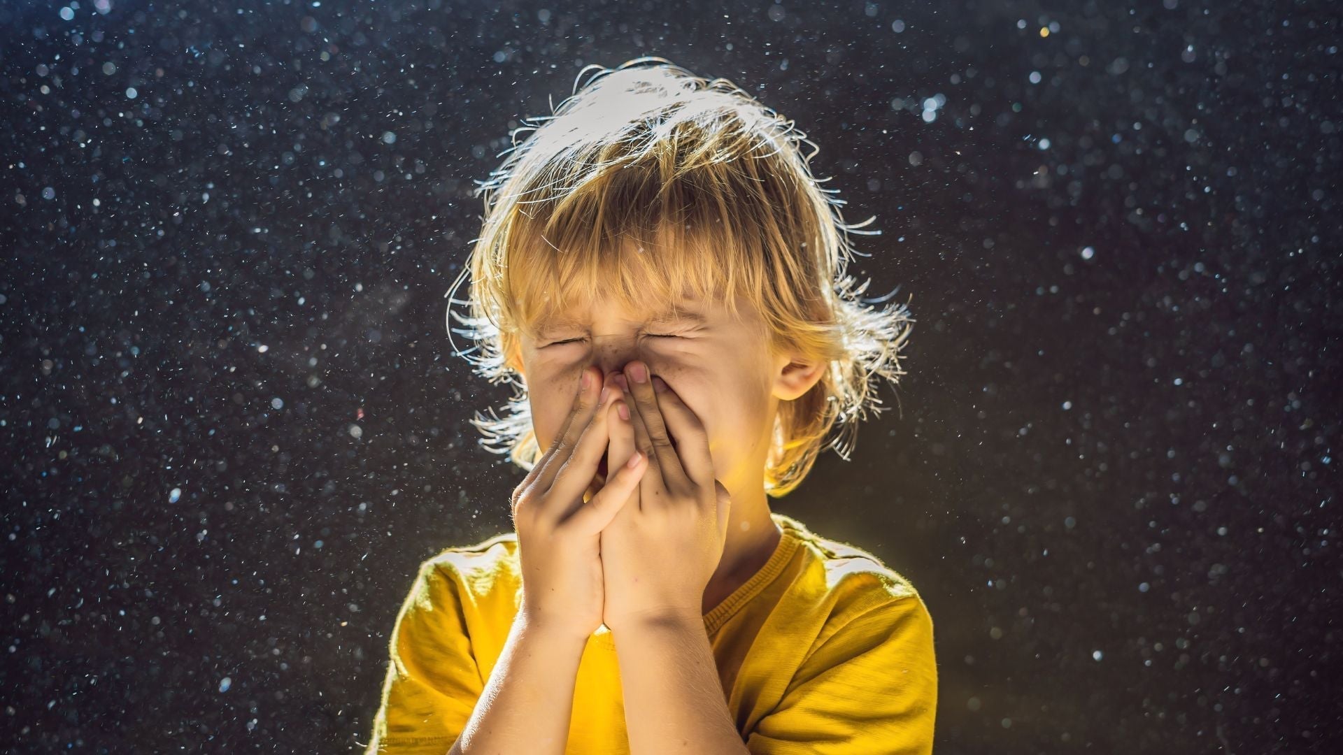 Hausstaubmilben Allergie verstehen & wirksam stoppen
