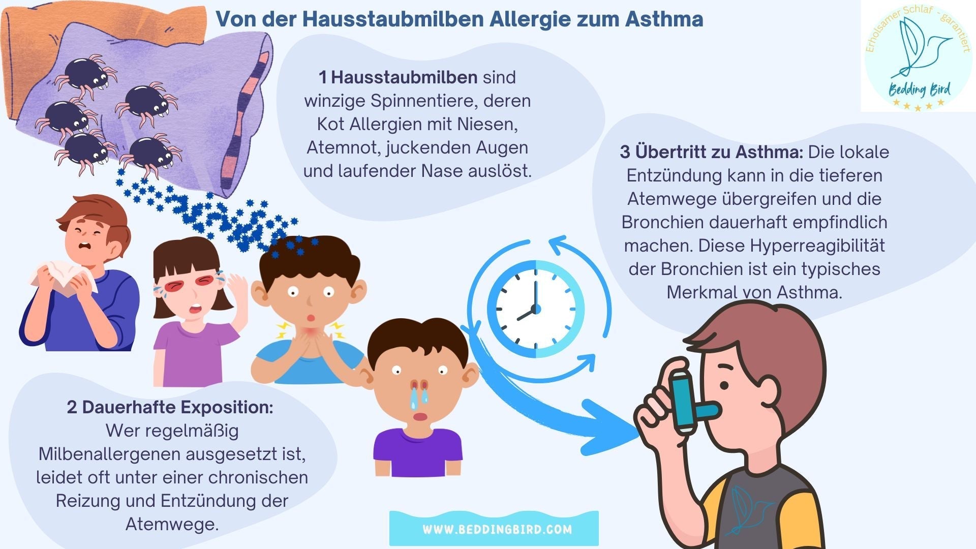 Hausstaubmilben Allergie und Asthma: Wie Milben chronische Atemwegserkrankungen auslösen können