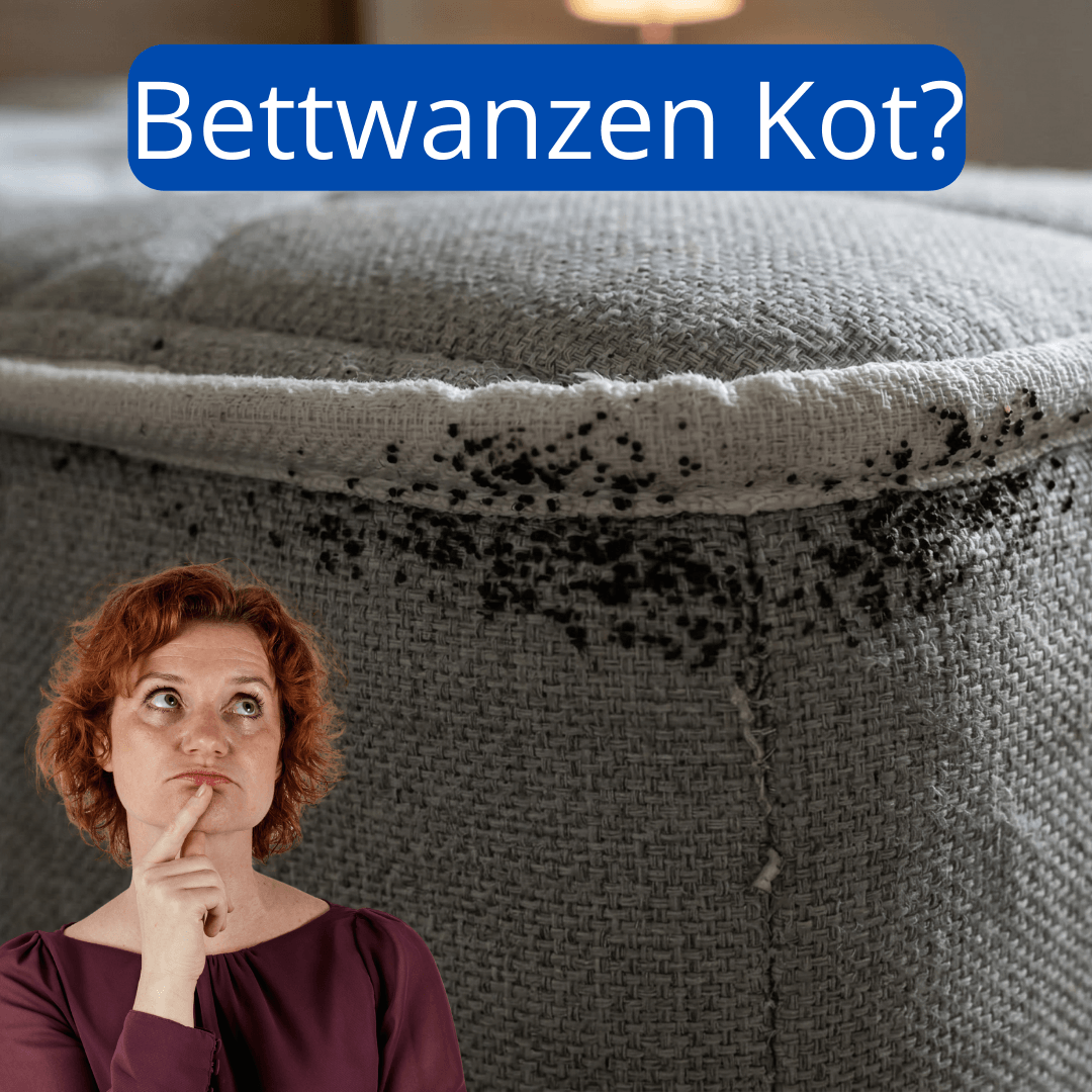 schwarze Punkte auf dem Matratzenrand als mögliches Anzeichen für Bettwanzenbefall.