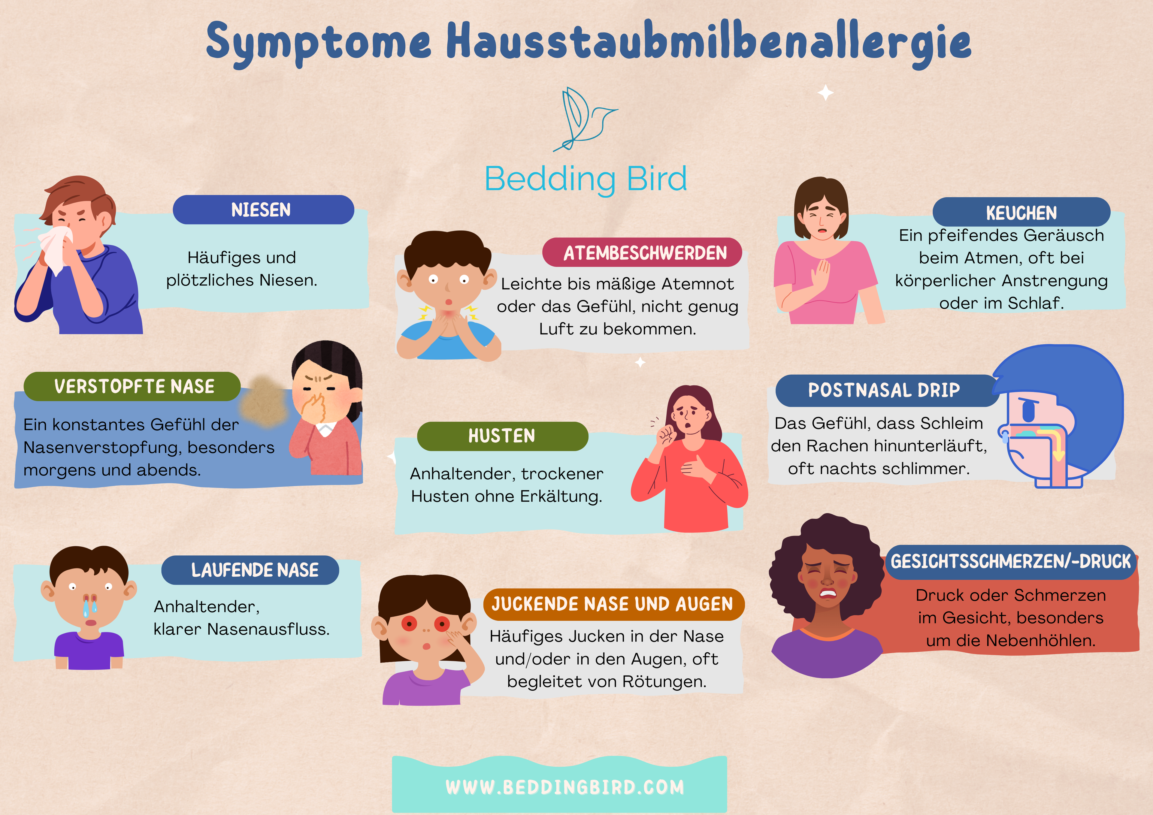 Infografik: Häufige Symptome einer Hausstaubmilbenallergie – Niesen, Husten, Atemnot, verstopfte Nase, juckende Augen, Gesichtsschmerzen, Keuchen